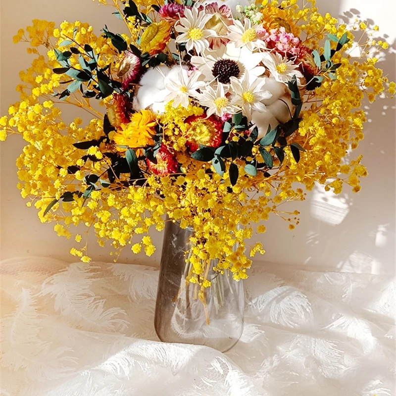 Baby Breath Dried - Natuurlijke Gedroogde Bloem Gypsophila Vers Bewaarde
