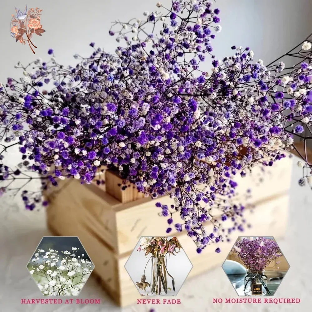 Real Touch Paarse Gypsophile 8 - Baby Breath Dried recensie en prijs