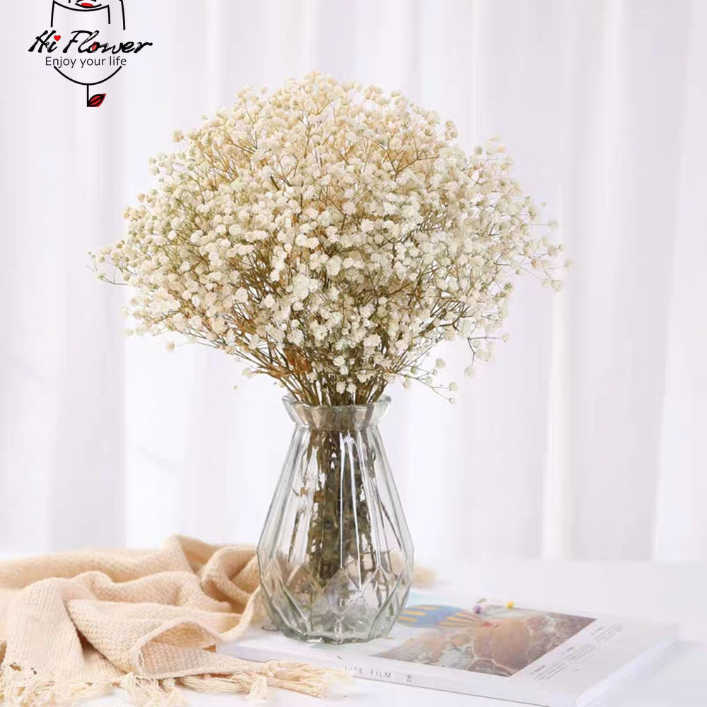Natuurlijke Gedroogde Bloemen  - Baby Breath Dried recensie en prijs