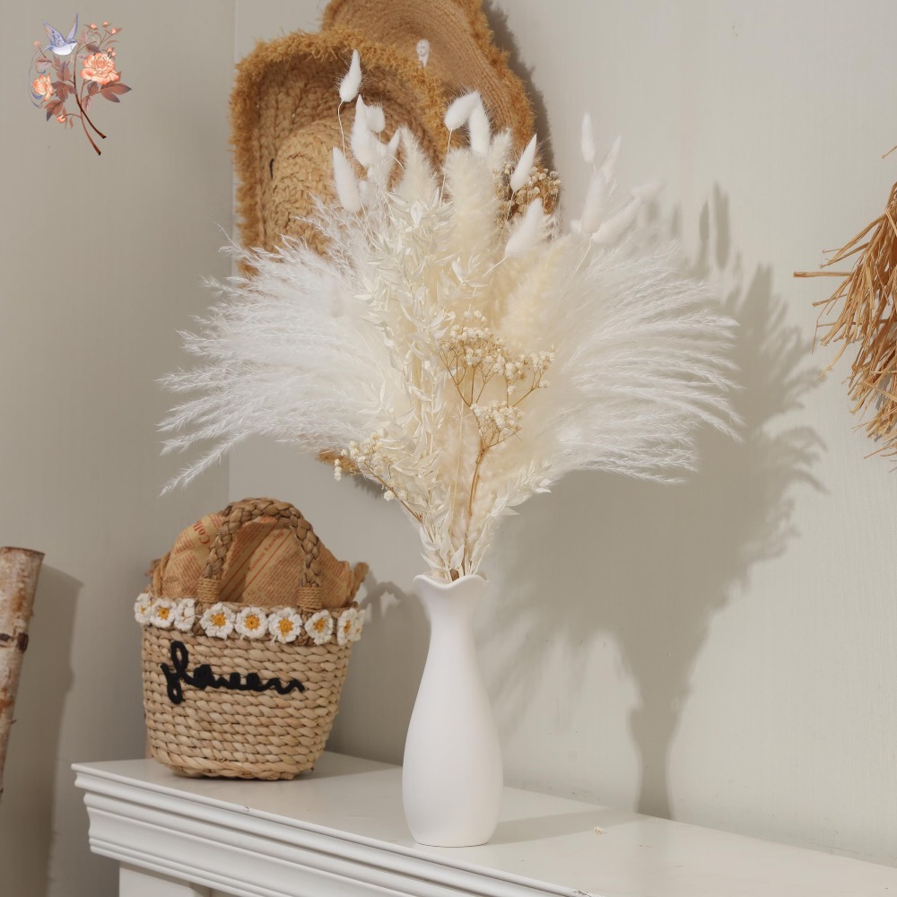 40 stuks witte natuurlijke ged - Baby Breath Dried recensie en prijs