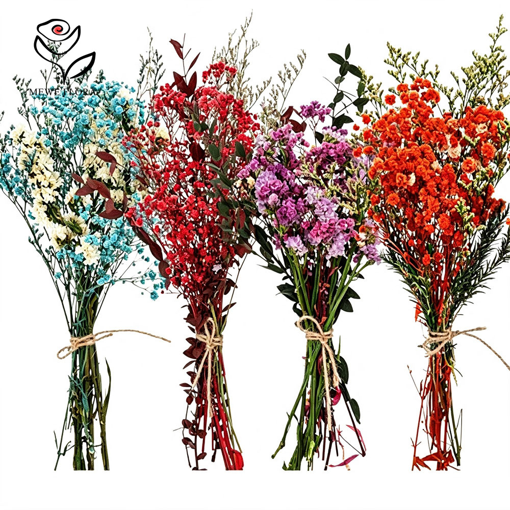 Kleurrijke gedroogde bloemen n - Baby Breath Dried recensie en prijs
