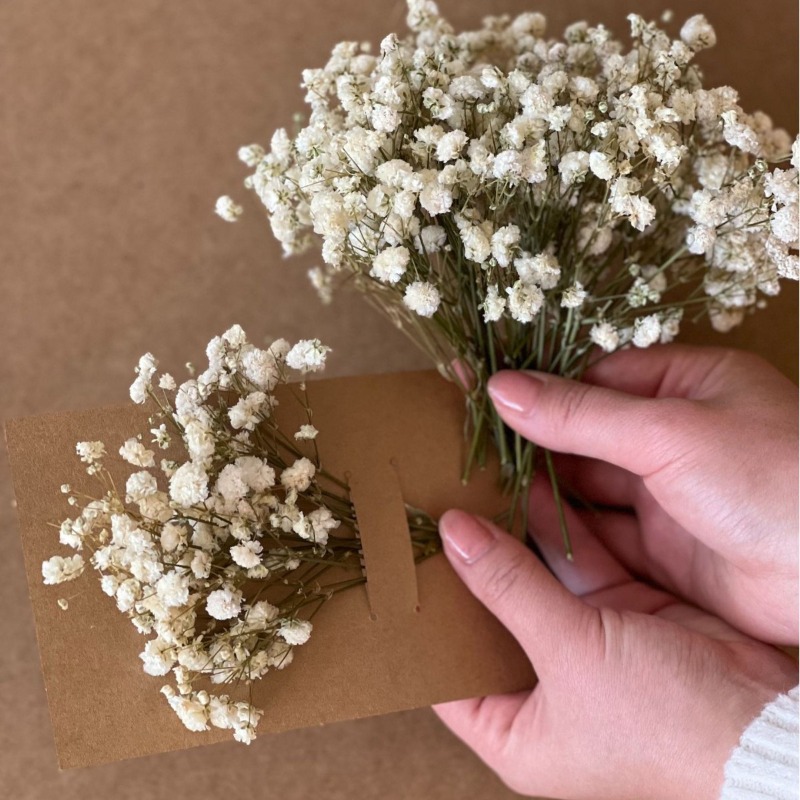 50 stuks, 100 stuks, natuurlij - Baby Breath Dried recensie en prijs