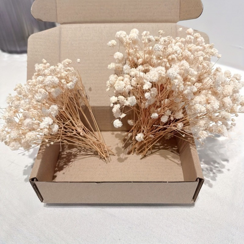 50 stuks, 100 stuks, natuurlij - Baby Breath Dried recensie en prijs